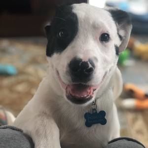 Meet your Posher, Jeff